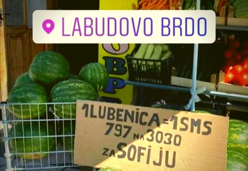dobrocinitim prodavac lubenica sofija markuljevic una lana